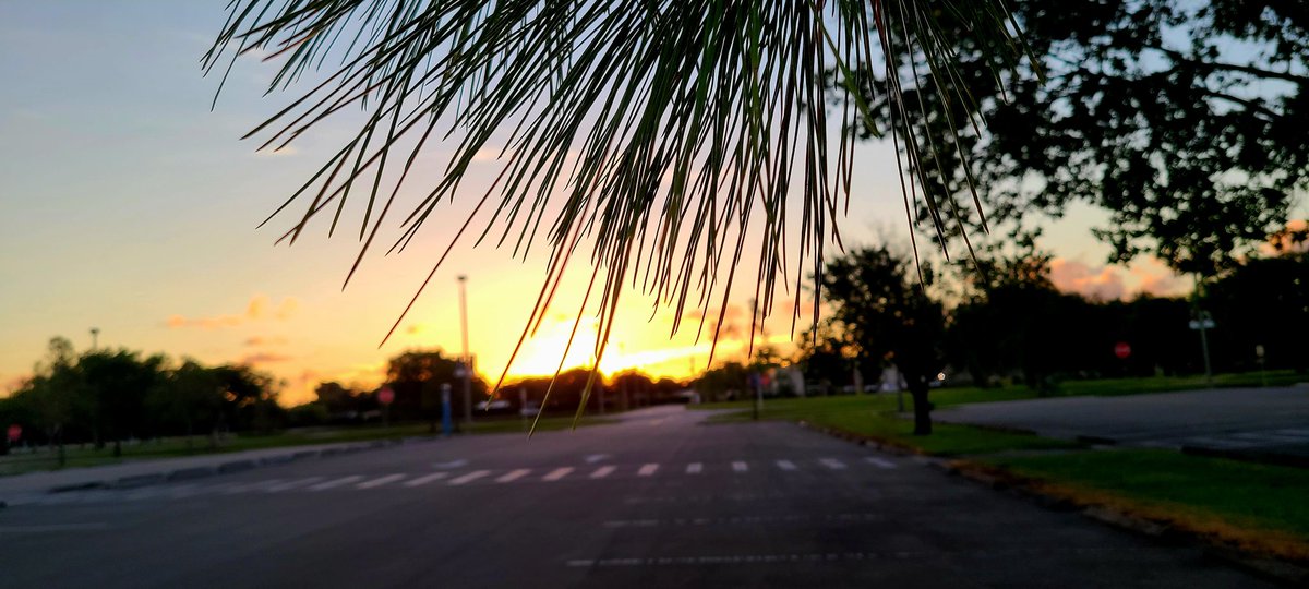 GessnerREAgent's tweet image. It's Sunday.... #relax #followthepinkcar #SundayMorning #sunrisethismorning #LaborDayWeekend #pembrokepines #bcsouth