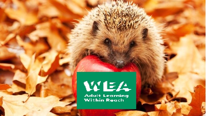 Autumn is here - time to catch up with our latest newsletter - courses in #Scarborough #Whitby #Malton starting soon... express.adobe.com/page/H8goDlsyi… #creative #art #yoga #relaxation #Wellbeing #film #comminity #creativewriting #fun #learning