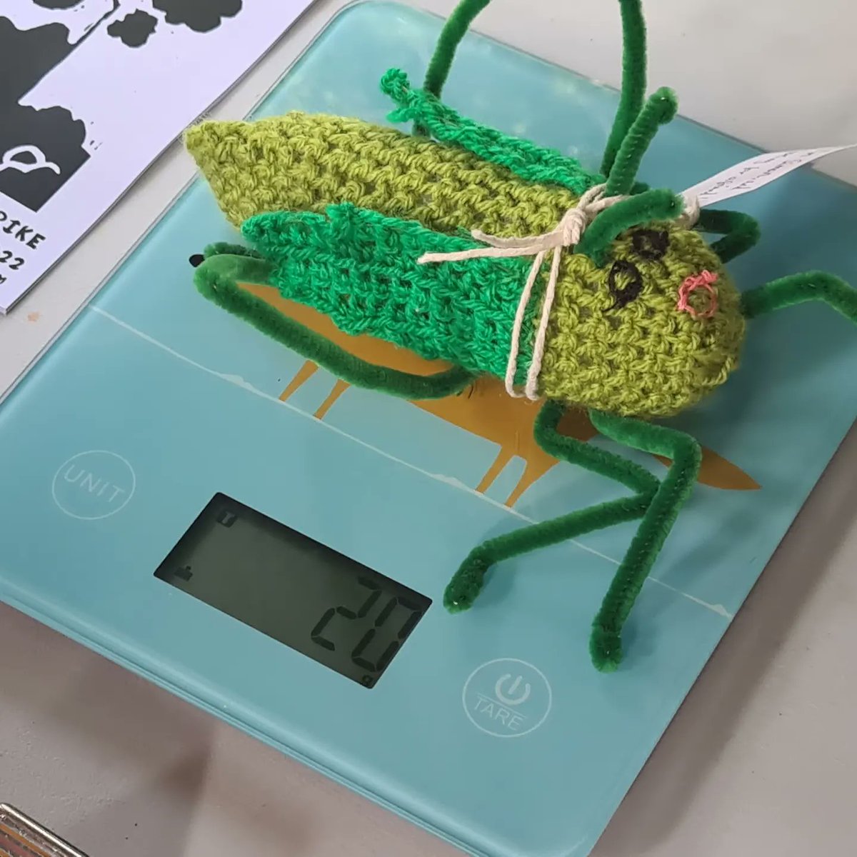 North Tyneside Climate Strike LIVE tweet media