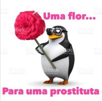 Memes para marcar ele(a) (@memeparaoarroba) on Twitter photo 