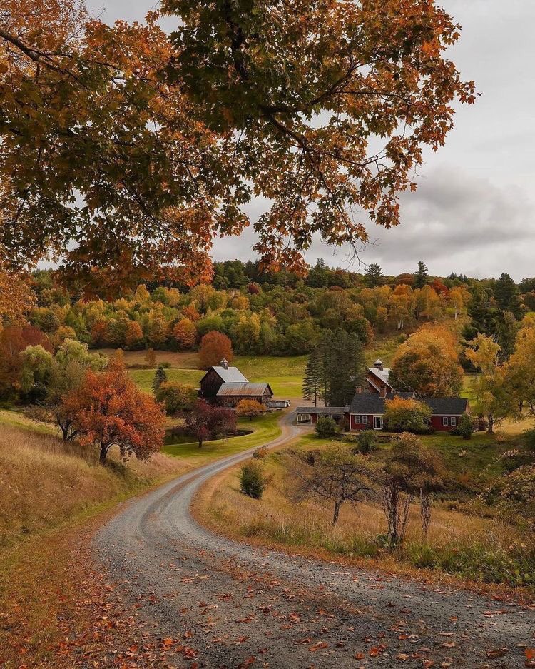 sophiesencha's tweet photo. autumn mood https://t.co/tMyDAtBSnA
