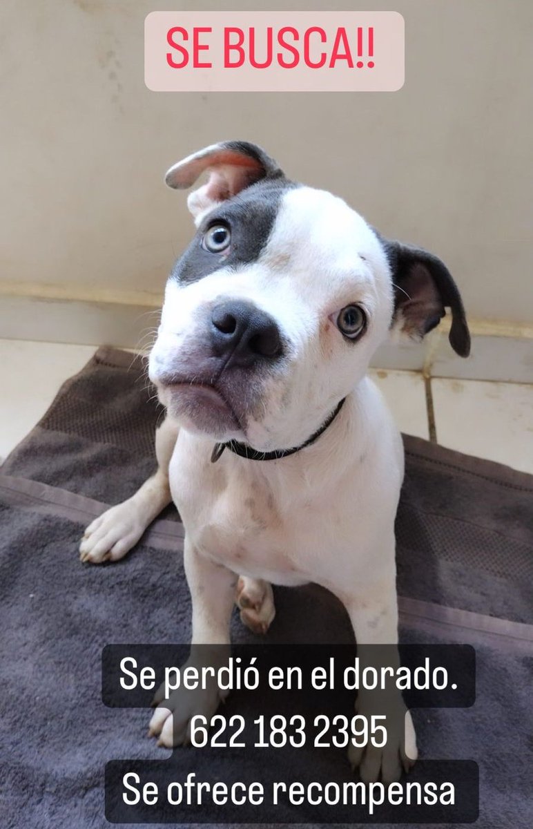 tonymarquezroon's tweet photo. Ayuden tuiteros guaymenses: https://t.co/32ohxzevEh