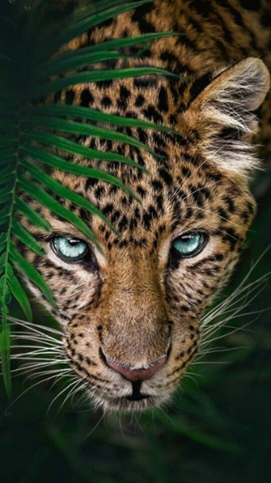 Deepthi Ann Thomas tweet media