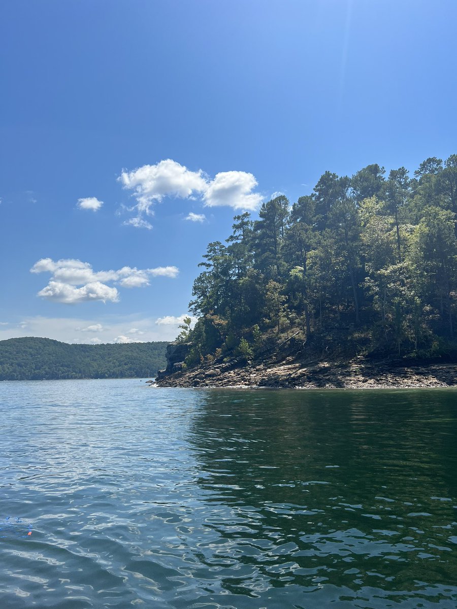 K A L E O tweet media