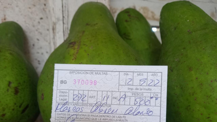 BabaluBloggers's tweet photo. Cuban dictatorship fines man 500 pesos for selling avocados from his own tree  https://t.co/6Xa1C2bGDh https://t.co/gptpeOKakM