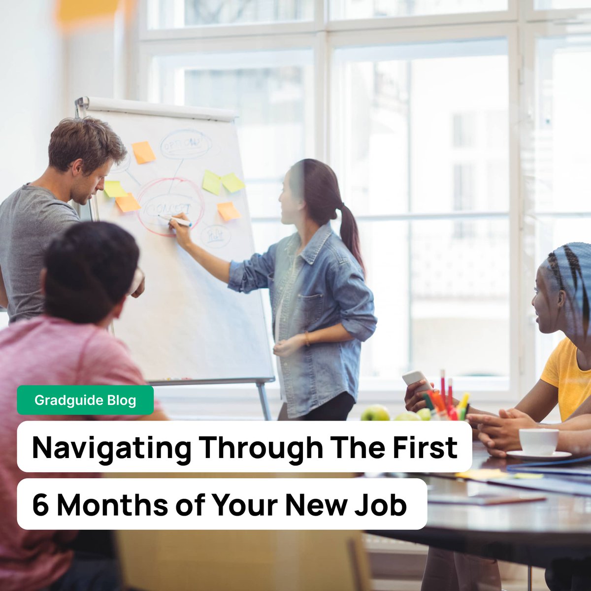 Starting any new role can be quite a nerve-racking experience as you try to make a great impression from the start. 

In this blog we highlight some key areas to focus on when navigating through the first six months of your new role. 

Link to full article in our bio 🔗