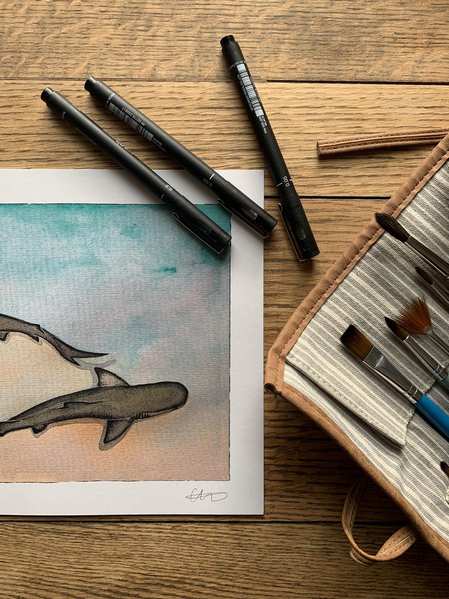 Clemency White 🦈 tweet media