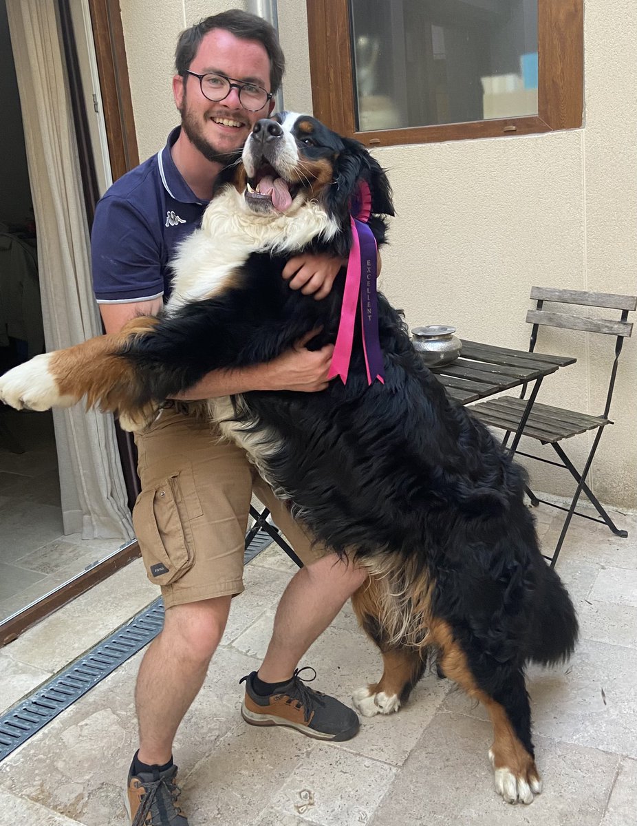 Jeremy_Denee's tweet photo. Tellement fier de ce chien ! Notre duo enfin récompensé en exposition #EXCELLENT #ExpositionCanineDijon #SpecialedeRace #BouvierBernois #AFBS #Rhapso https://t.co/DNi9rNuaT6