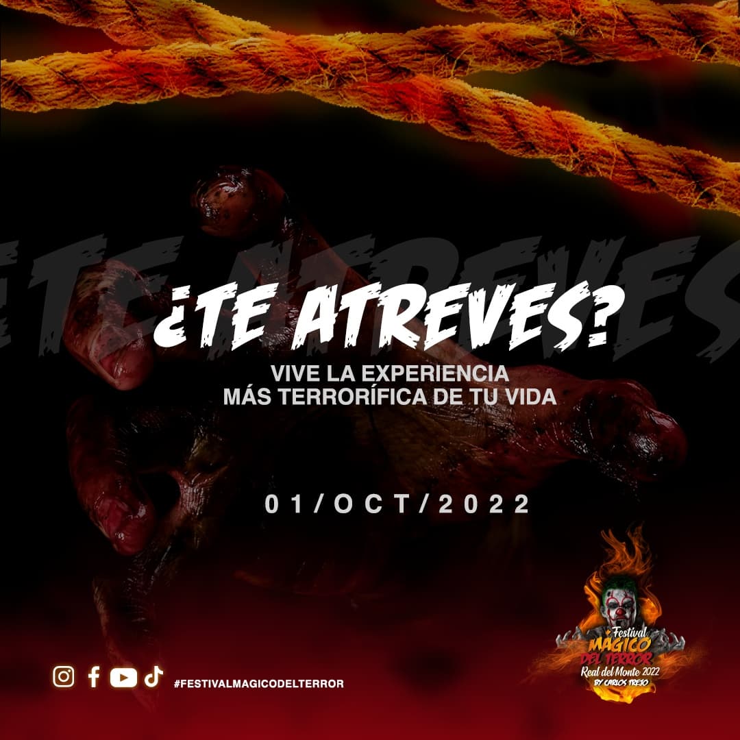 Festival Magico Del Terror tweet media