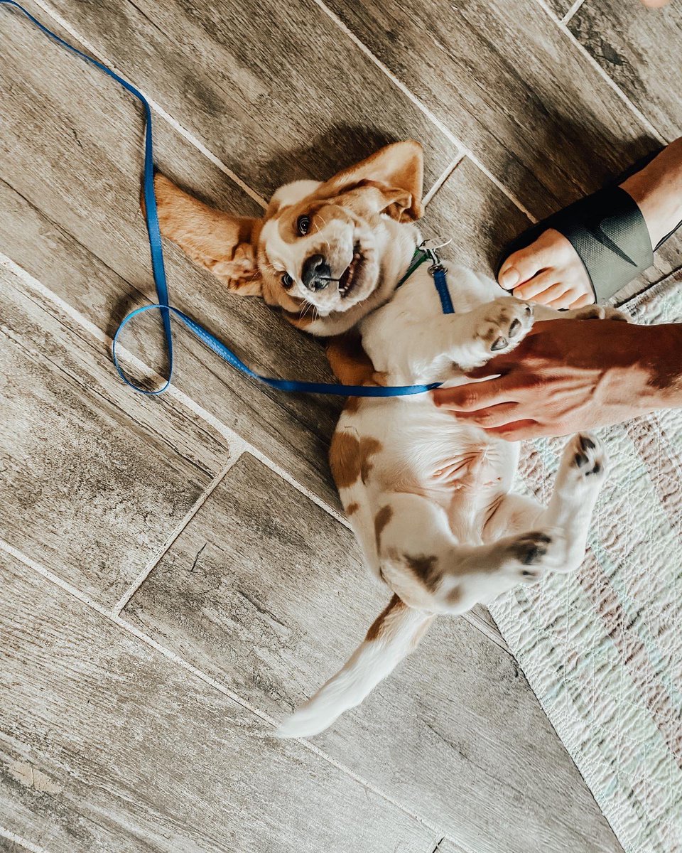 Obsessed with our sweet sweet boy! ❤️