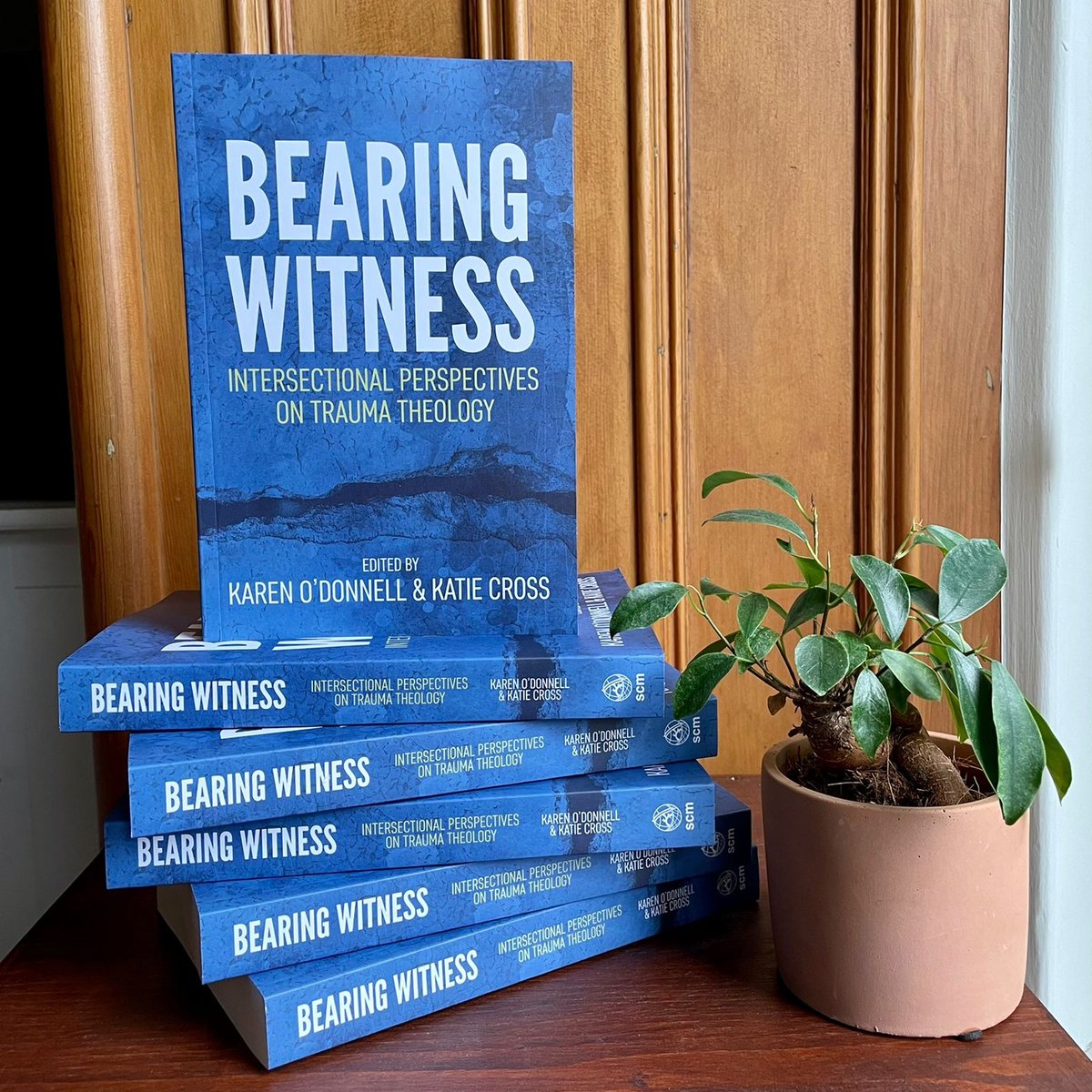 #BearingWitness TOMORROW (5th Sept) keep an eye out for:
📚 a book giveaway
✏️  sneak peeks and tweets from our authors about their chapters 

Follow + tweet us with the hashtag #BearingWitness! @scmpress @kmrodonnell 

(photo creds @pierrelepop, ficus from Aldi, model’s own)