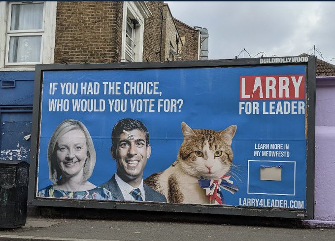 England Wants Larry the Cat as Prime Minister
