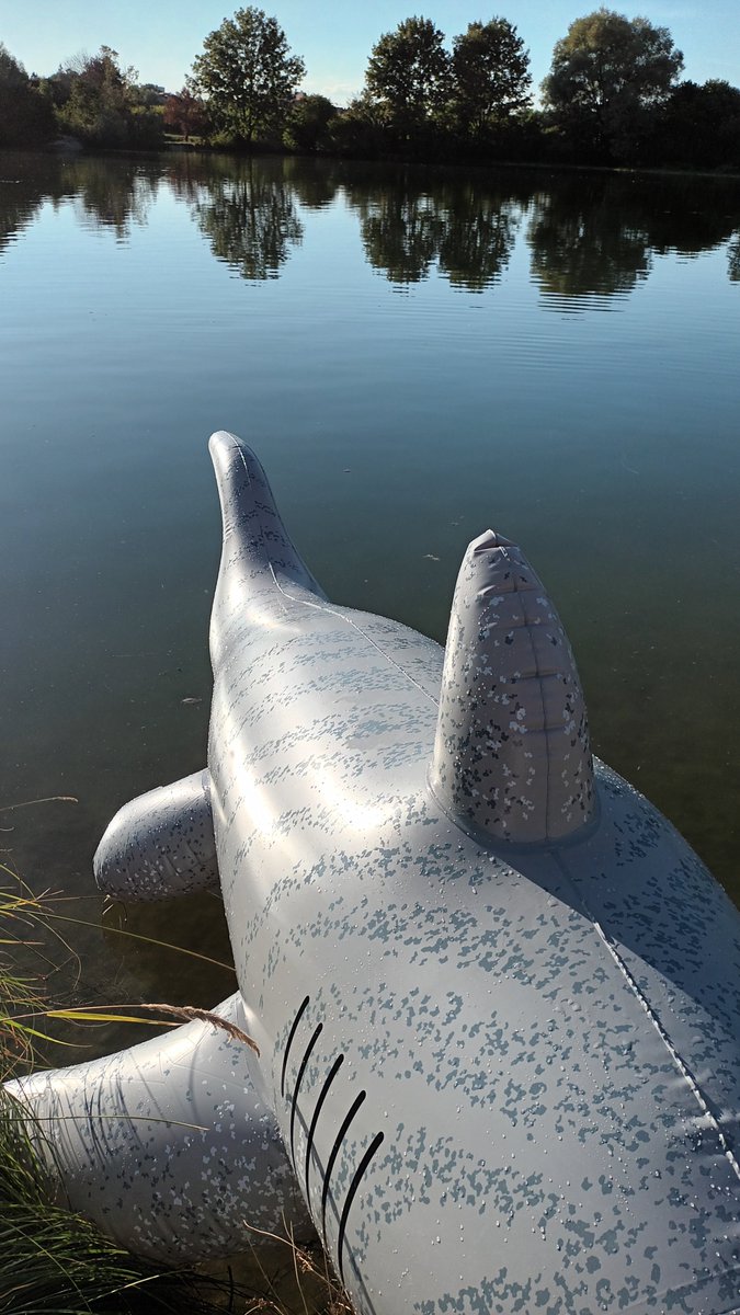 ltslang's tweet photo. IW Shark https://t.co/C1IJ52kYzw