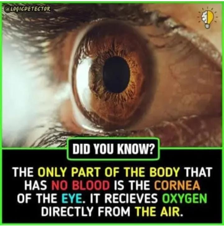 SadiqSajid3's tweet photo. Do you know? https://t.co/hZ8zVDIey6