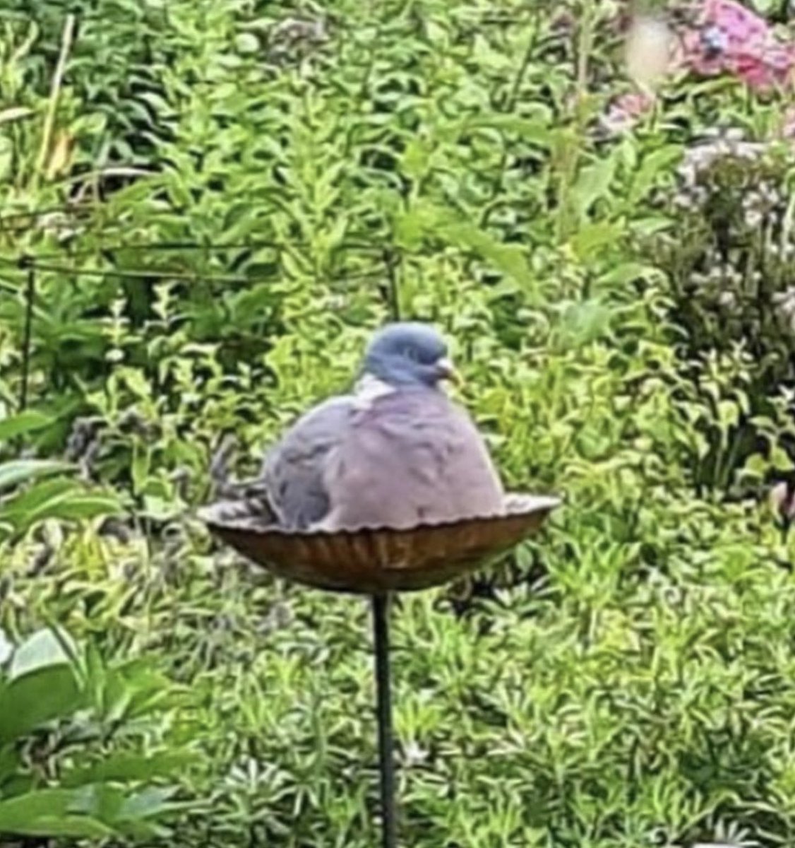 Unbothered. Moisturized. Happy. In My Lane. Focused. Flourishing.