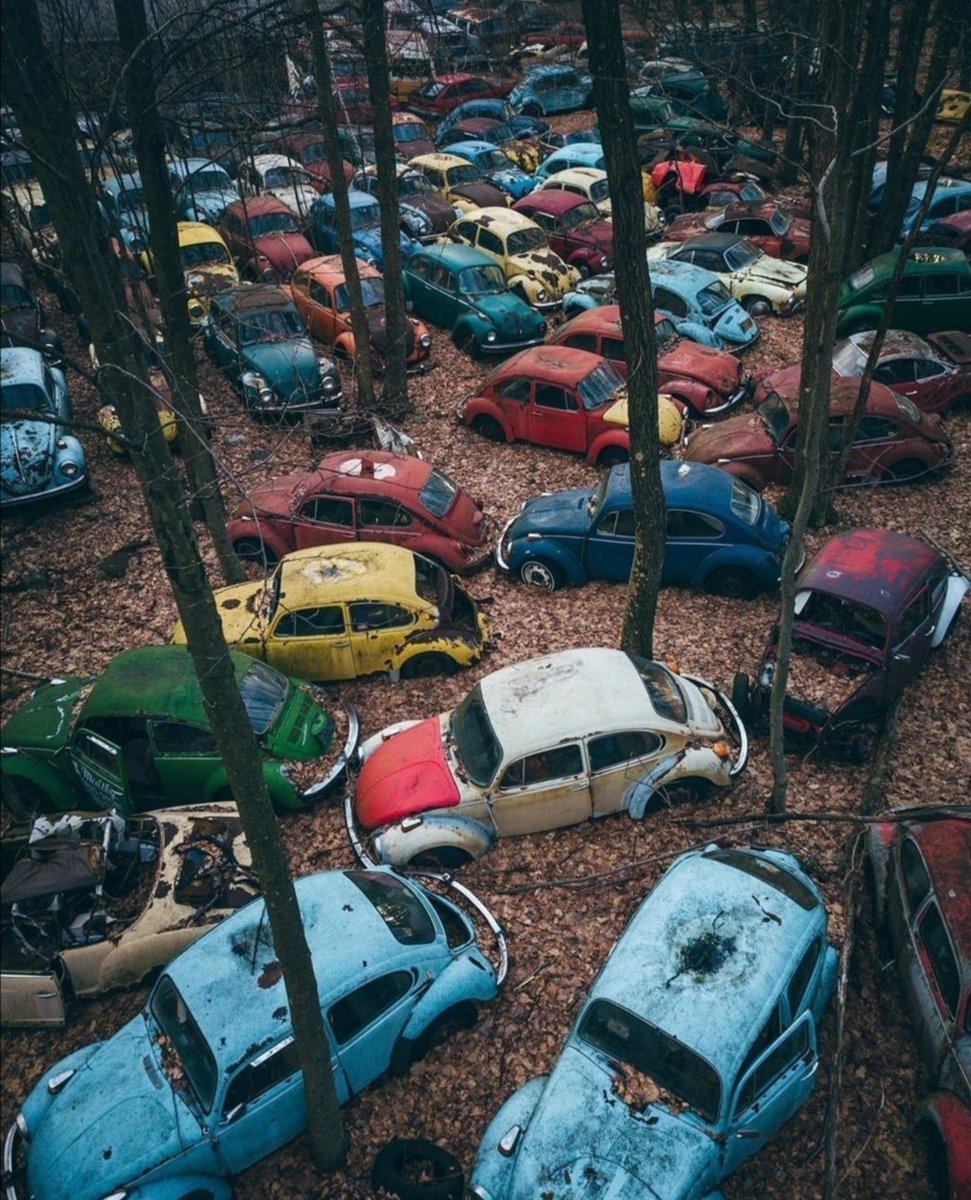 Volkswagen mezarlığı, Pennsylvania Ormanı. Fotoğraf @cstone710 #Volkswagen #Pennsylvania