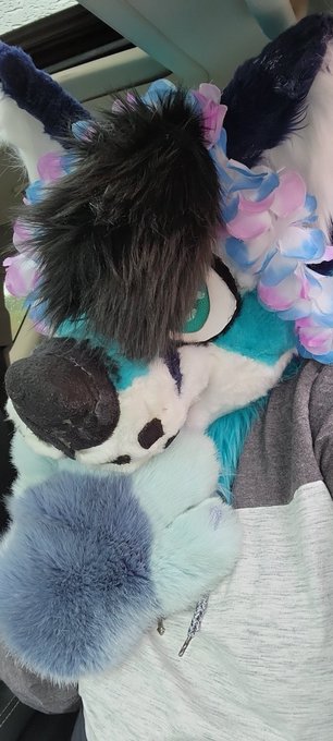 Daddy taking me for a car ride https://t.co/ddmqqTiM9O<a href="/tag/furries"class="tags"><span>#furries</span></a><a href="/tag/furry"class="tags"><span>#furry</span></a><a href="/tag/digital"class="tags"><span>#digital</span></a><a href="/tag/artistsontwitter"class="tags"><span>#artistsontwitter</span></a><a href="/tag/artshare"class="tags"><span>#artshare</span></a>