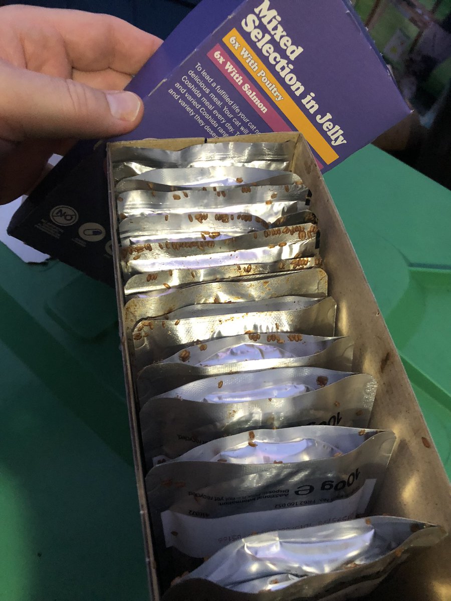 missjaybea's tweet photo. @LidlGB bought this box of cat food today. Opened it this evening to feed my cat and it’s crawling with maggots. https://t.co/ndpvKrYDac