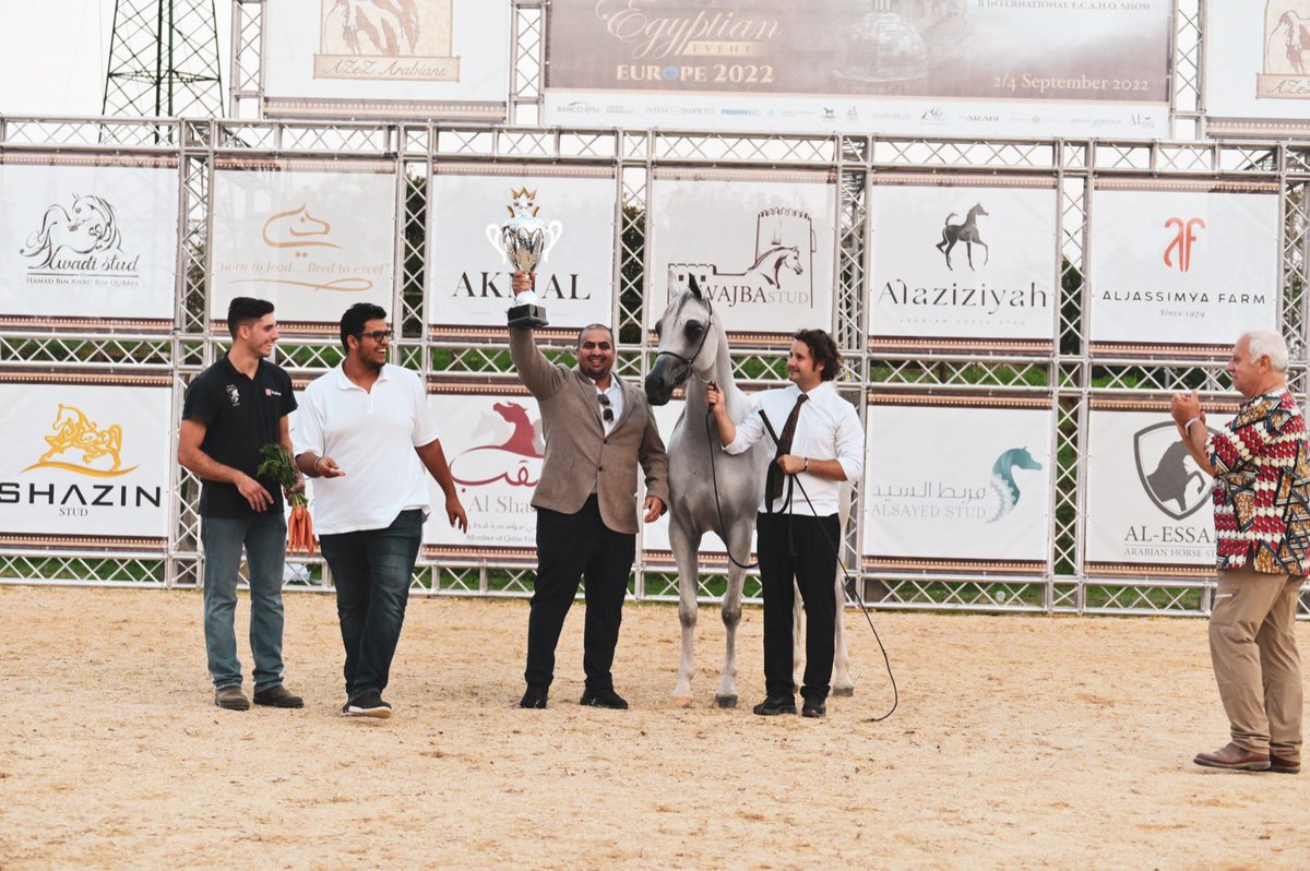 مربط الوطن tweet media