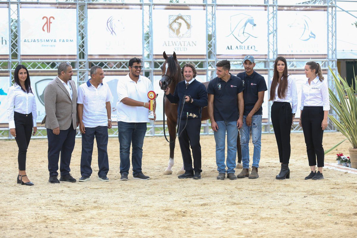 مربط الوطن tweet media