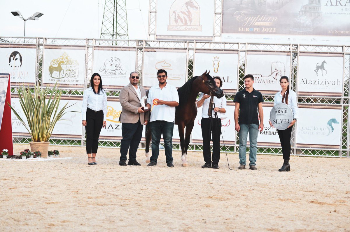 البطل سي ام امادوس 
ممثلاً مربط الوطن في اول مشاركه اوروبيه في بيرغامو-ايطاليا
يحصد المركز الاول في كلاس الامهار 
ويحصل على الميداليه الفضيه .