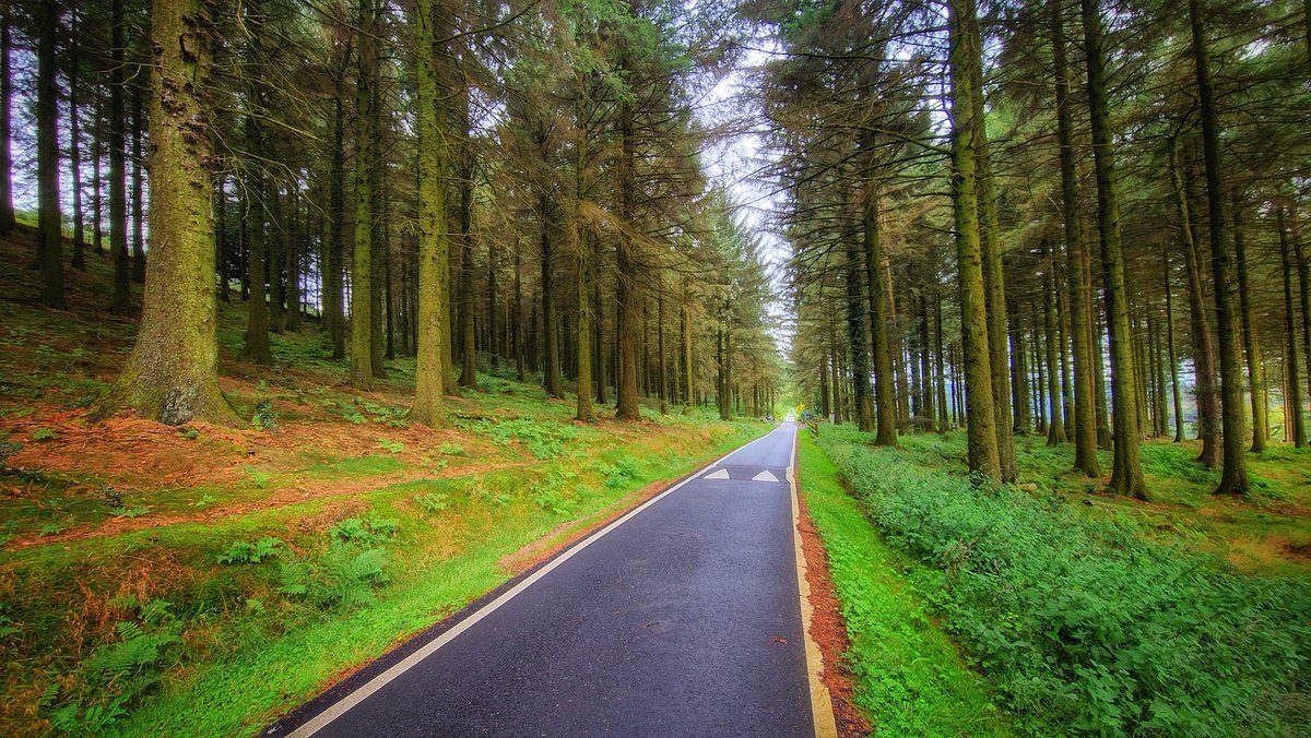 SyedGerdezi's tweet photo. The serenity of #SouthWales at #CwmcarnForestDrive https://t.co/4noCFiIej5