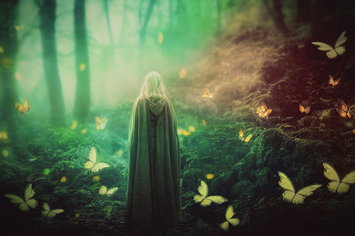 playtime
•
•
#midjourney #aftereffects #lotr #aesthetic #abstract #imagine #digitalart #digitalpainting