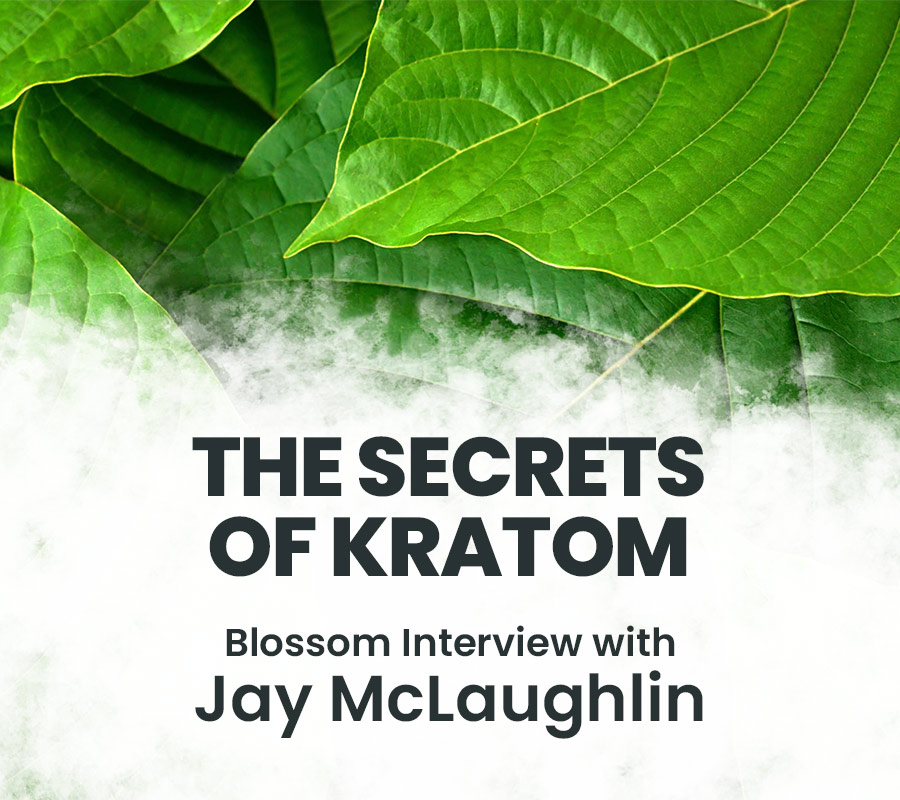 KratomLords's tweet photo. The secrets of #kratom – Interview with #JayMcLaughlin
George Fejer, speaks to Dr. Jay McLaughlin, Professor of Pharmacodynamics at the University of Florida, and one of the leading experts on kratom.
#Alkaloids #KratomInterview #SalvinorinA #KratomNews
https://t.co/DmlJKhPqoD https://t.co/J2vYIQle44