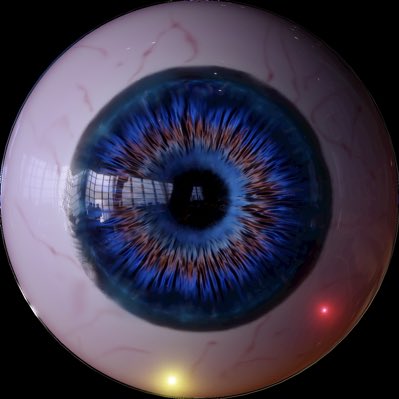 Foarfeca00's tweet photo. #NewProfilePic https://t.co/CPNy3khLr2