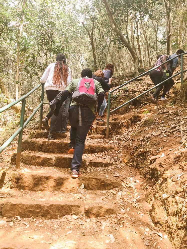 Hike for good health.
#MindSafari