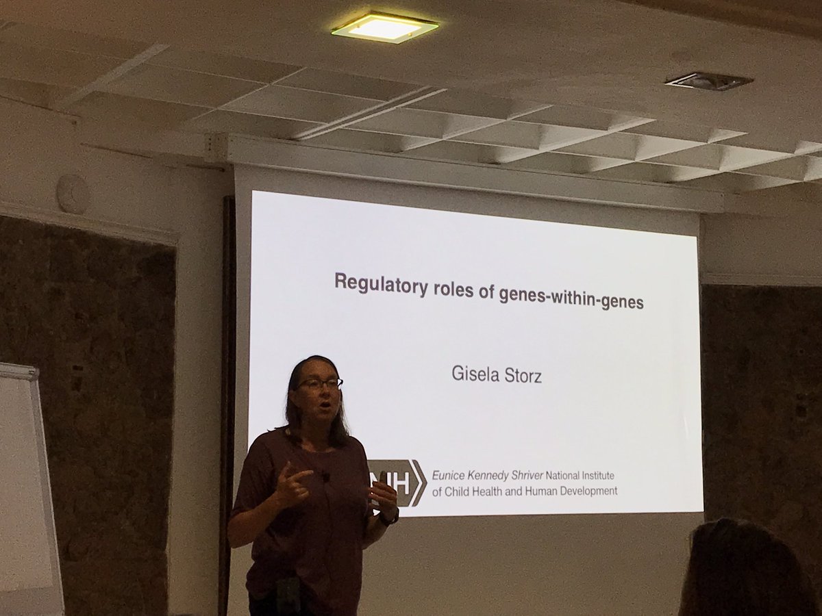 Hallez Lab tweet media