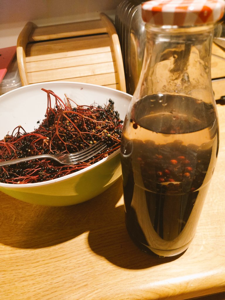 RosalynDrew2's tweet photo. Hedgerows are full of goodies at the moment!! #elderberrygin #appleandblackberrypie
😋😋😋 https://t.co/LlQ2mun432