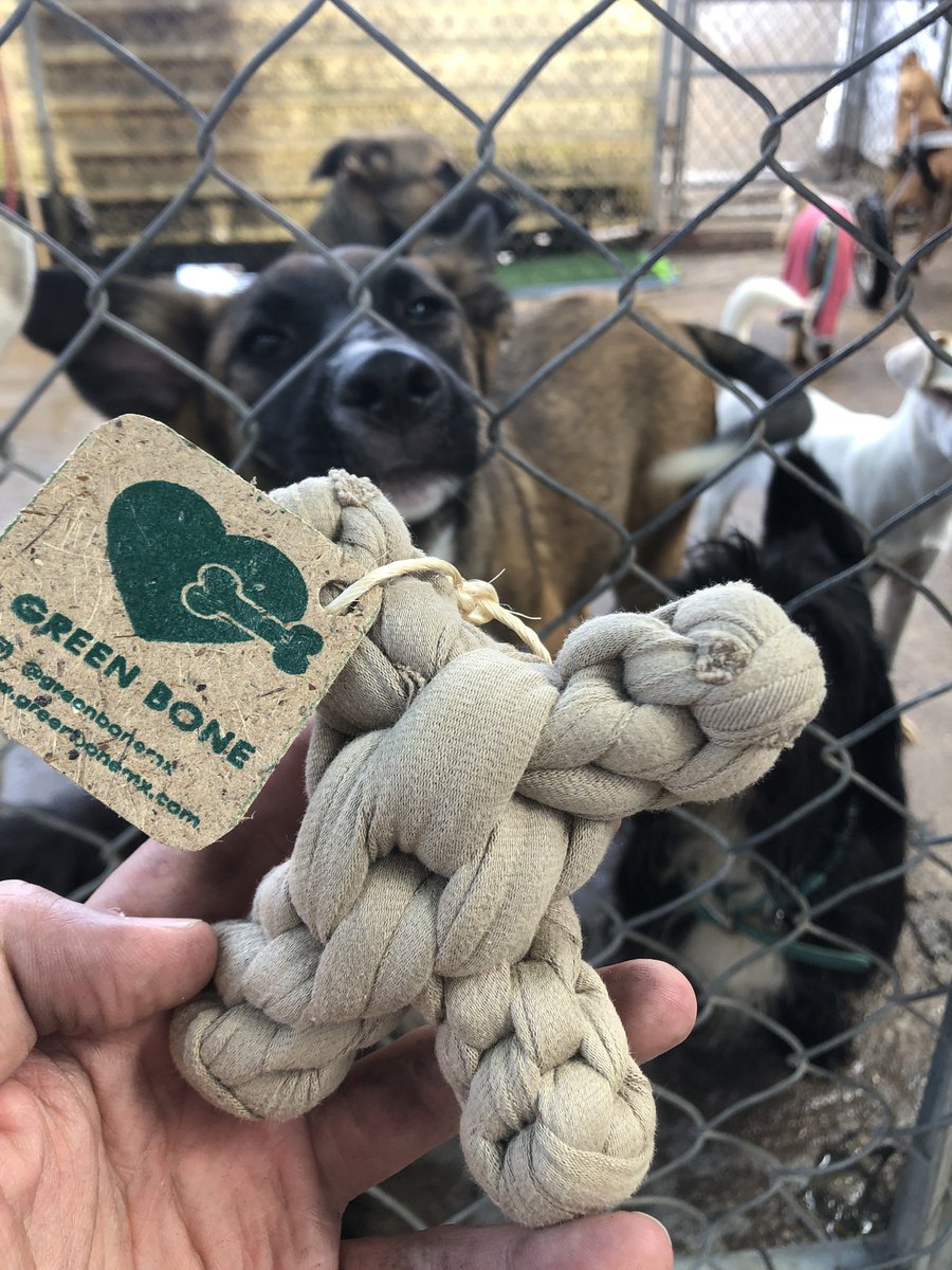 Lomitos.io 🐾 tweet media