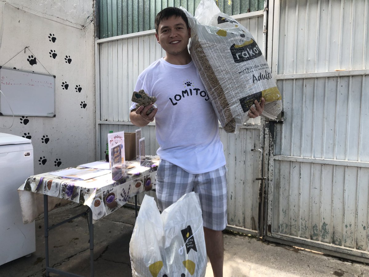 Lomitos.io 🐾 tweet media