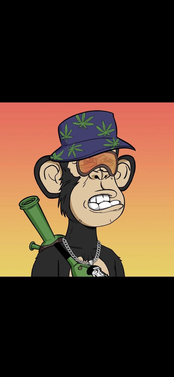 PurpleLife_37's tweet photo. @Zeusswarrior @dina_dnice @StonerApeClub @AlexxSAC @HazardousApe @TrulsSAC @BBrxndon_ #welcomehome #SACPAC https://t.co/VcZ2HDmgui
