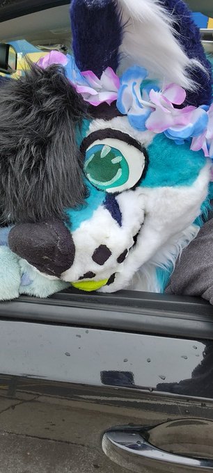 If you wanna see a pup I'm in michigan good luck, (lower Pennsylia or how its spelt lol) https://t.c<a href="/tag/furries"class="tags"><span>#furries</span></a><a href="/tag/furry"class="tags"><span>#furry</span></a><a href="/tag/digital"class="tags"><span>#digital</span></a><a href="/tag/artistsontwitter"class="tags"><span>#artistsontwitter</span></a><a href="/tag/artshare"class="tags"><span>#artshare</span></a>