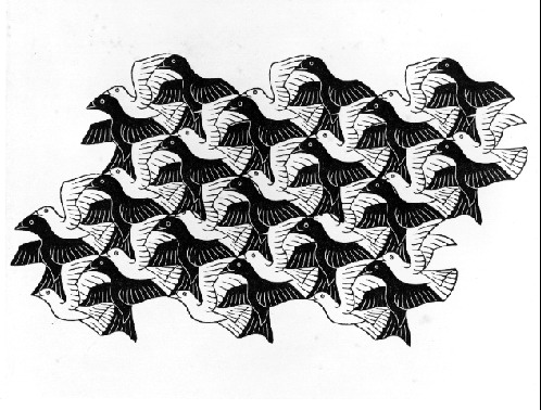 Regular Division of The Plane with Birds, 1949 #escher #mcescher wikiart.org/en/m-c-escher/…