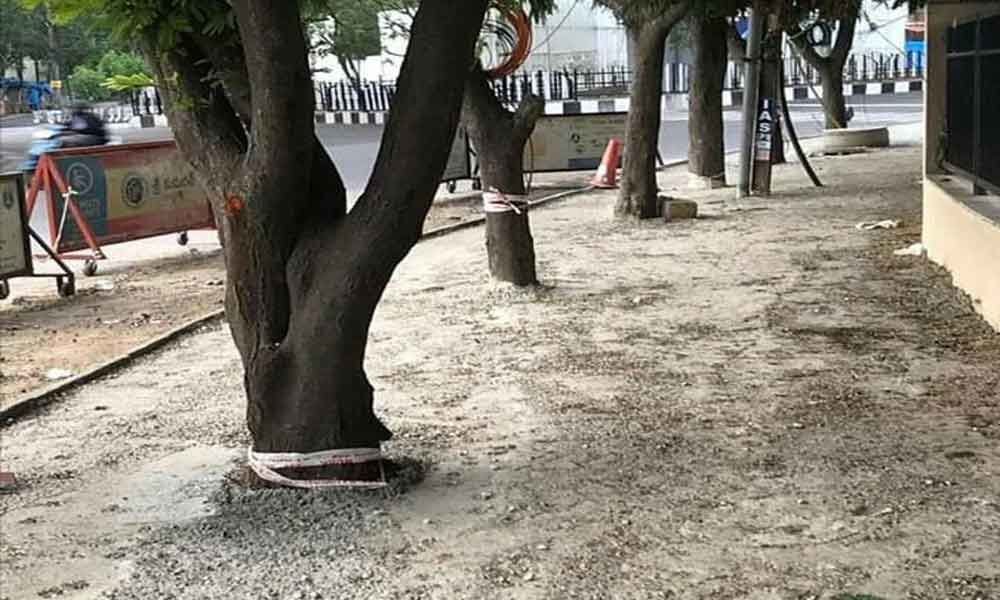 vriksh_org's tweet photo. 🌧️🌧️🌧️ #bengalururains 

We cover every inch of our cities in concrete and then wonder why are our cities getting flooded!

Where do we expect the water to go?

There's no place, unless we also leave some space for earth with trees to soak and absorb the water.

#BengaluruRain https://t.co/xl1AON4r8Y
