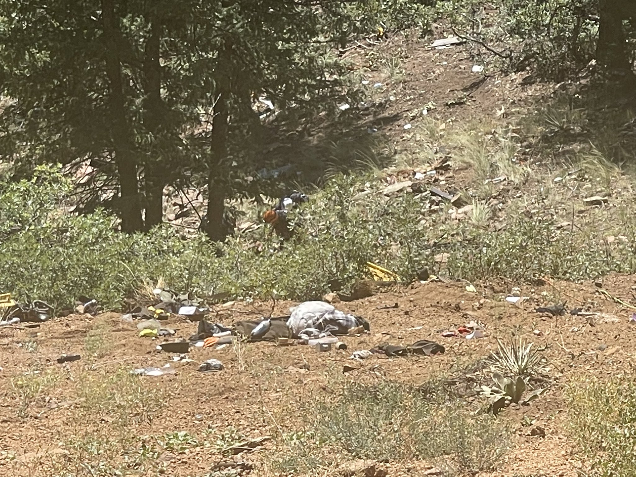 17+ Accident Colorado Springs
