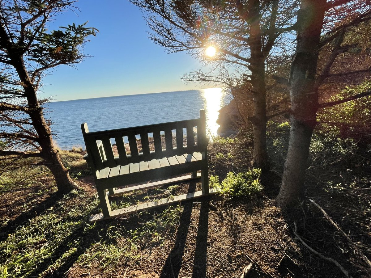 Countrylivinginthecove tweet media