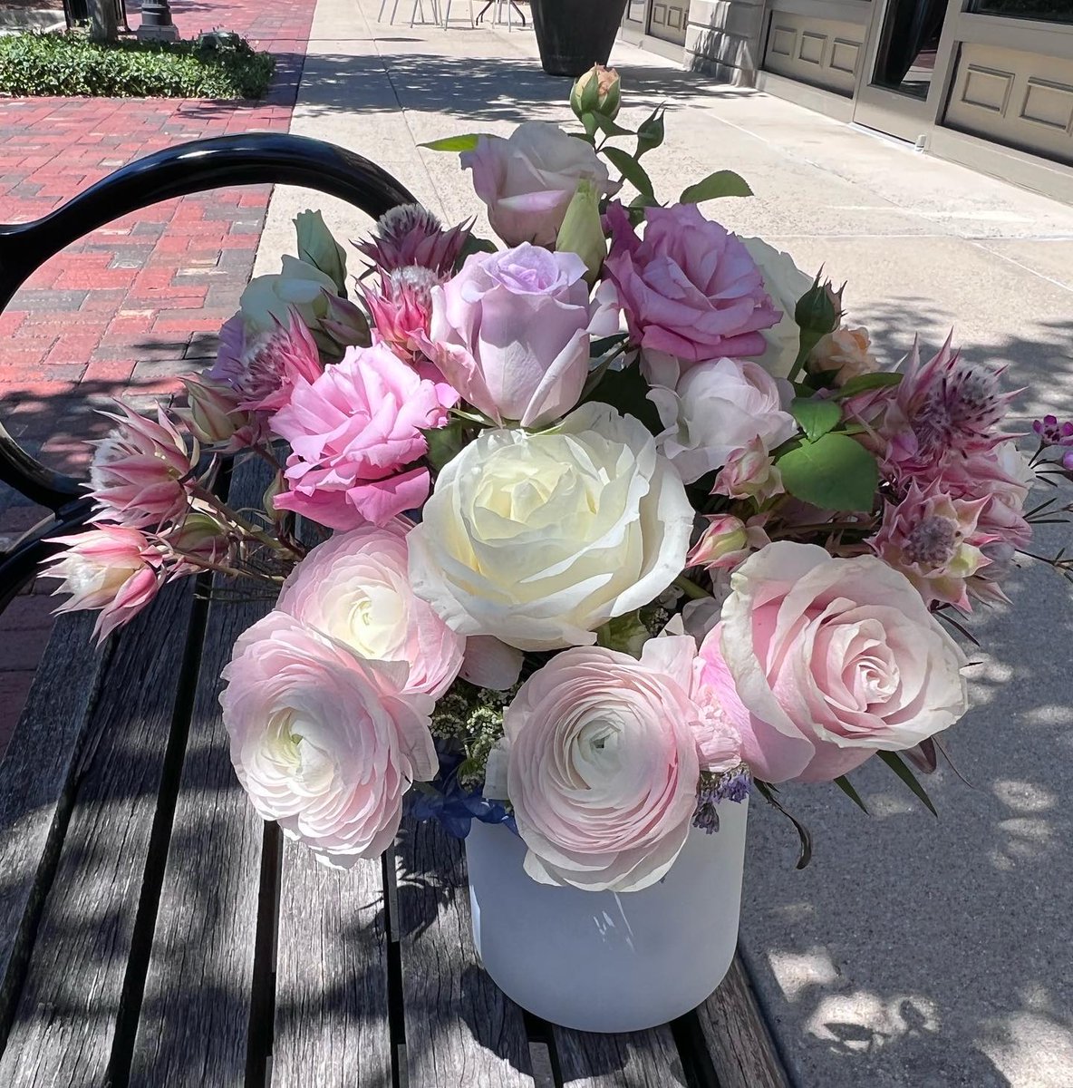 Tickled pink 💞 🌸
-
📷 Preston Flowers