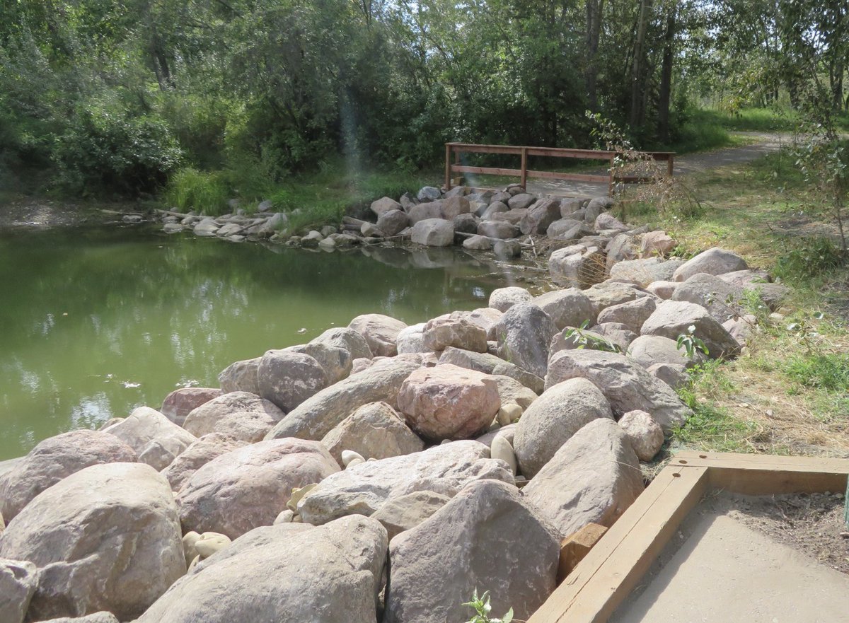 hapandcarol's tweet photo. #HAPPINESS is having city of Red Deer workers move the BIG rocks, that have been in a fenced compound, blocking a path for some time, into the water.Thus opening the path and creating a new area for sitting and enjoying the ponds &amp; all the pond life. #Bigrocks #movingrocks https://t.co/BeWiFDmGh4