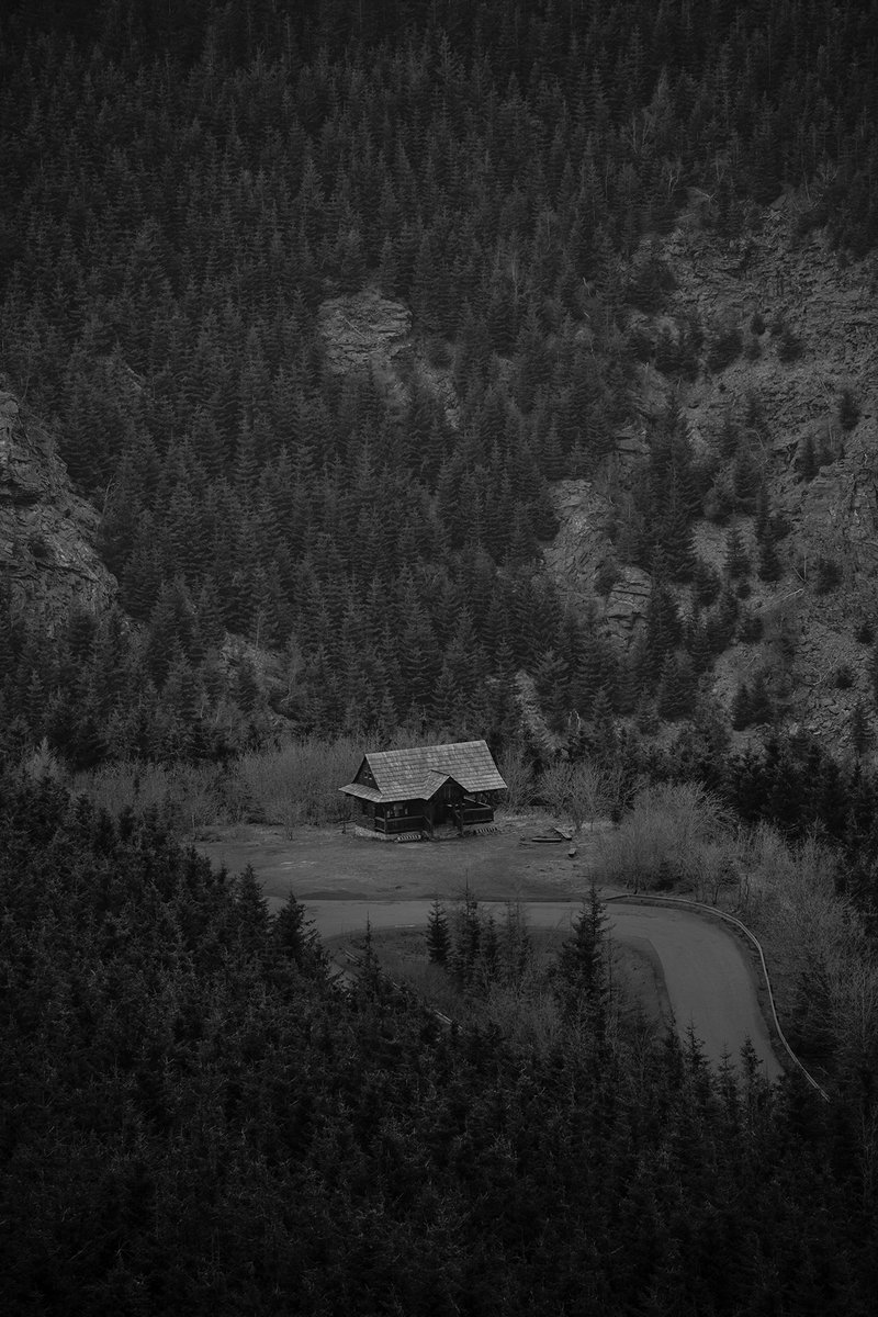 TeriVarhol's tweet photo. "Shelter"

#jesenikymountains #numinousDiaries https://t.co/ePlll84NXn