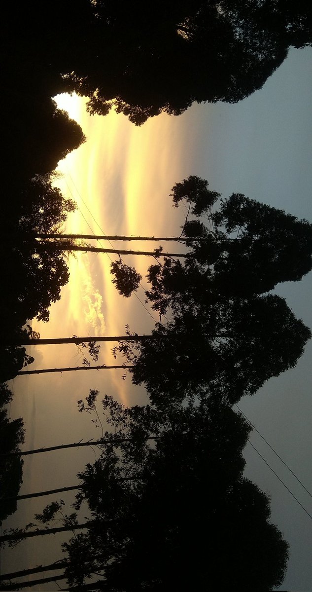 onsase18's tweet photo. @visualstweets How are my sunset photography skills?? https://t.co/4BI2VuQUTH