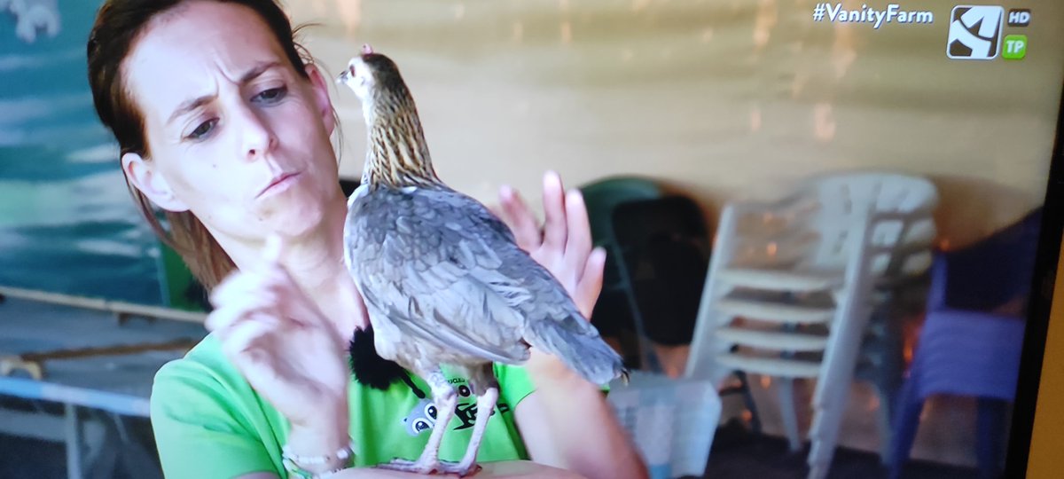 MarianoMejGar's tweet photo. Yo soy #TeamCombi en #VanityFarm ¡Qué historia más chula! https://t.co/7uvK1BYF76