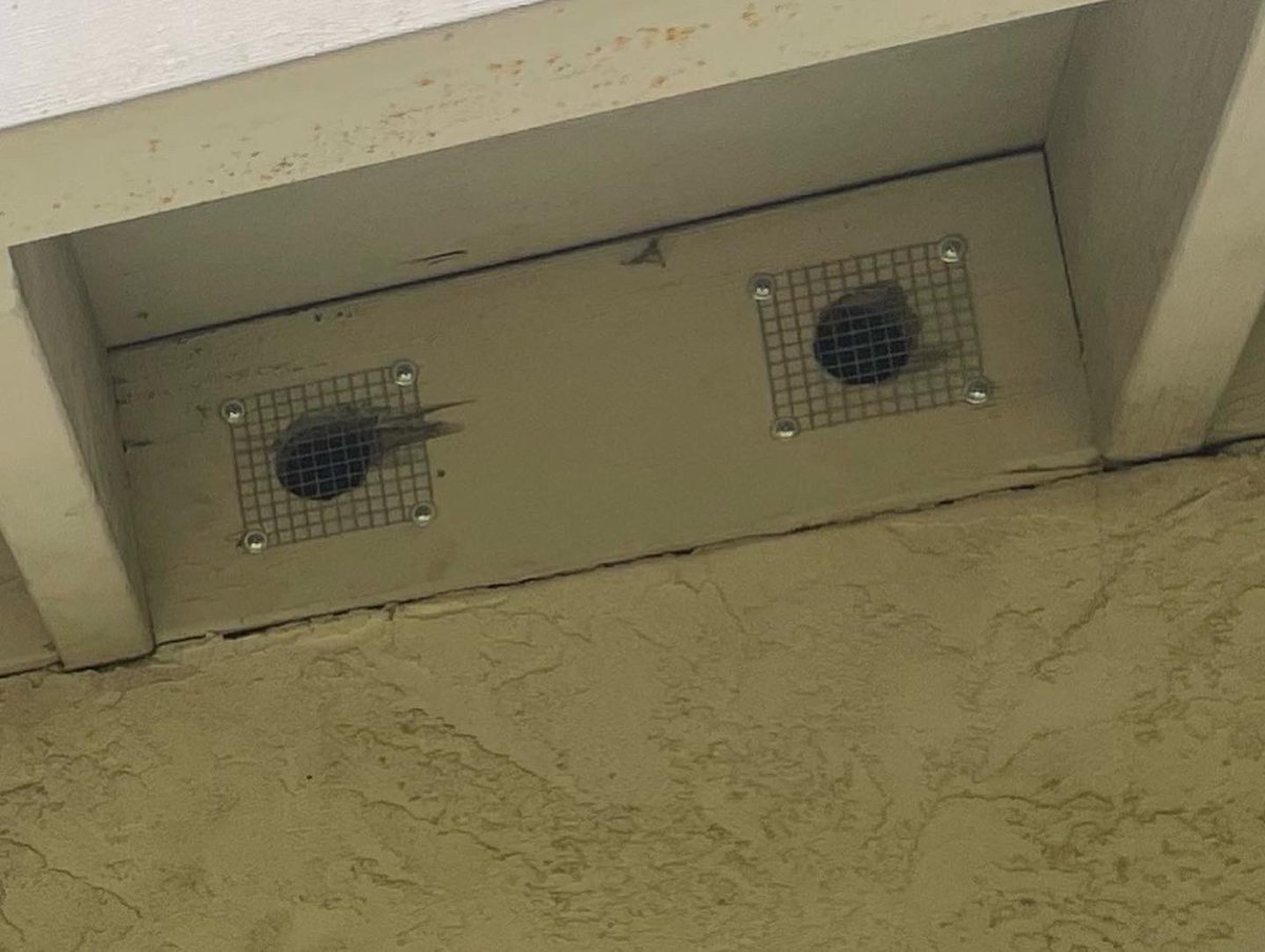 Norcal Rodent Proofing (@NorcalRodent) / Posts / X