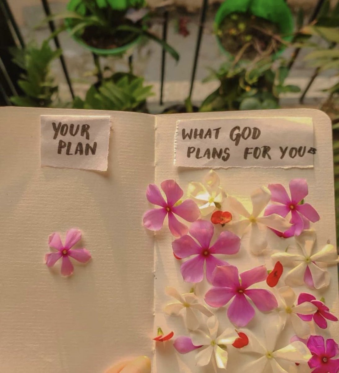 jojoansett's tweet photo. 🌸 https://t.co/UgKZju2qQK