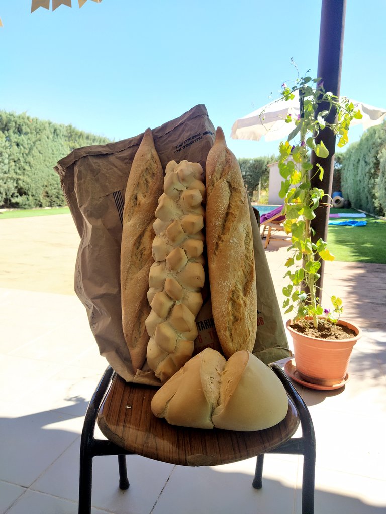 MiguelCallejaO's tweet photo. Esto debe de ser lo que llaman pan de pueblo 😝 @AytoMadridejos 
#bread #pan #breadlover #breadlovers #breadtime #breadaddict #breadporn #pistasGastrobloGGicas https://t.co/dVvYKJU9Ws