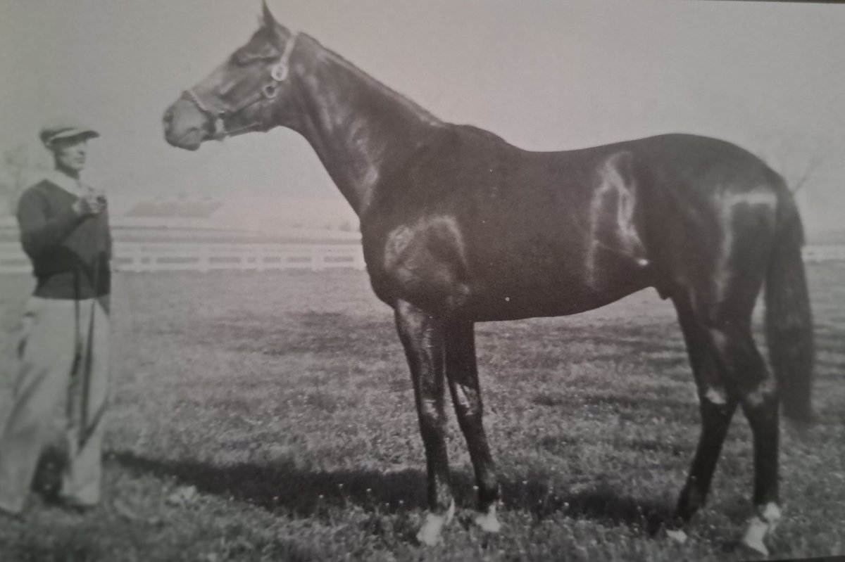 HORSERACING1002's tweet photo. BULL LEA🇺🇸(BULL DOG)#BullLea 
Stood at @CalumetFarm https://t.co/5gUHftzX55
