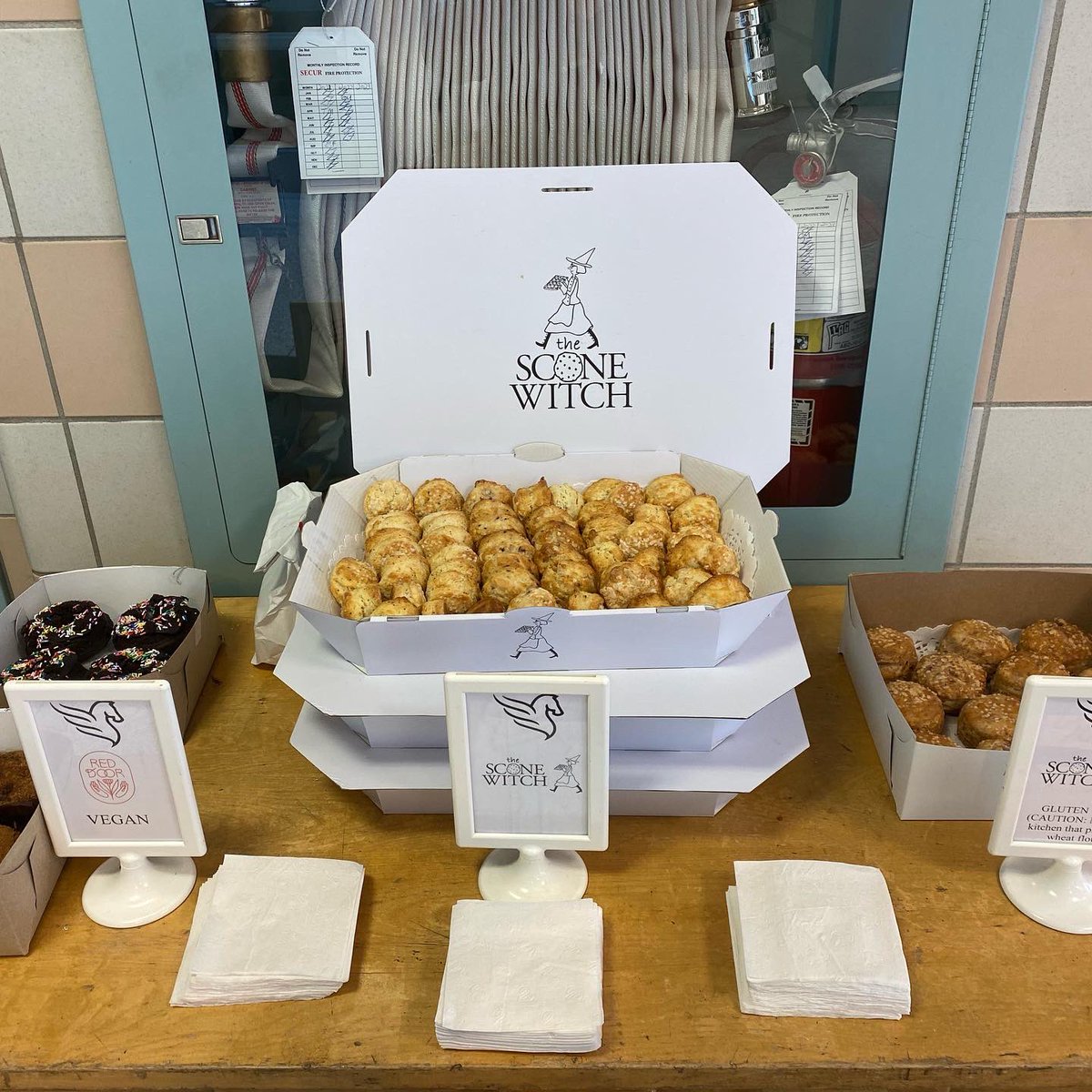 Sandy Miller (she/her) tweet media